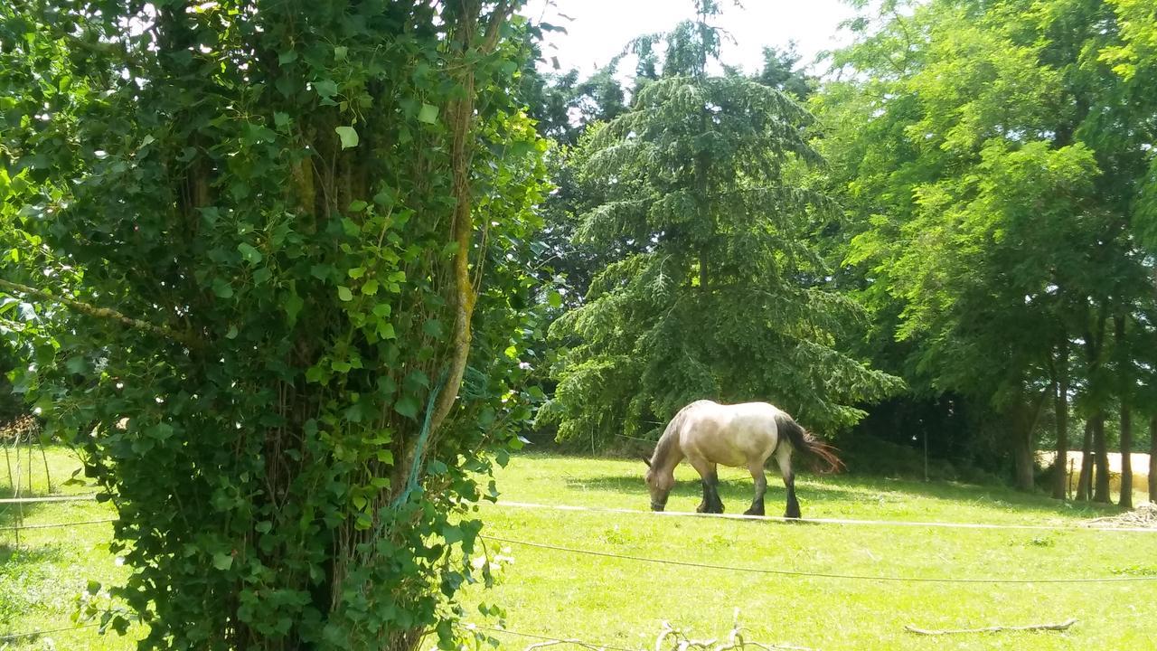 Manoir De Vilaines Varennes  ภายนอก รูปภาพ